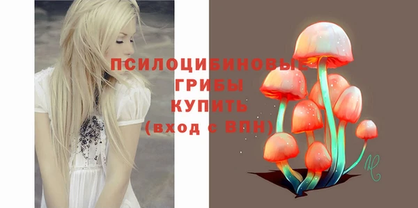 spice Няндома