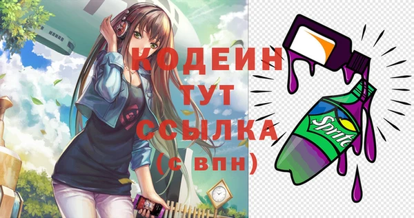 spice Няндома