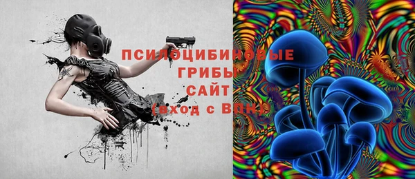 a pvp Абинск