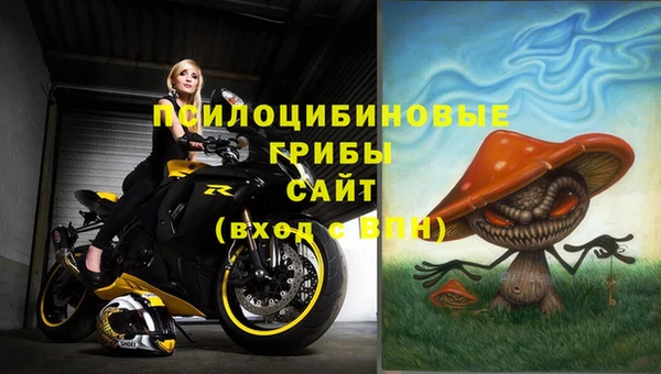 spice Няндома