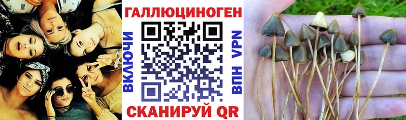 Галлюциногенные грибы мухоморы  как найти закладки  Яхрома 